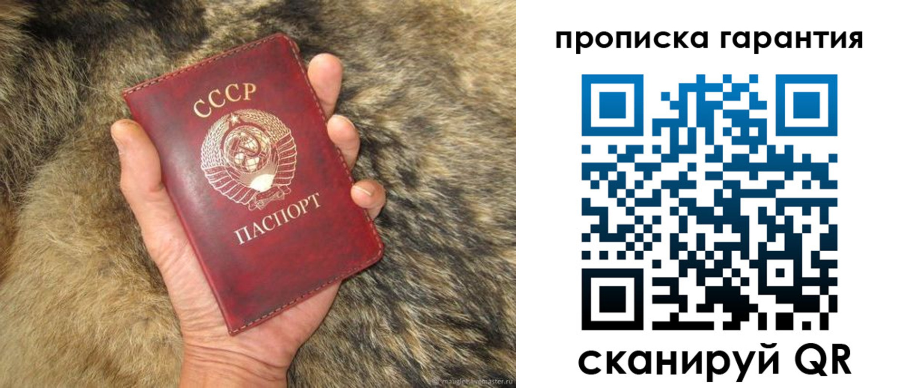 временная регистрация гарантия в Североморске